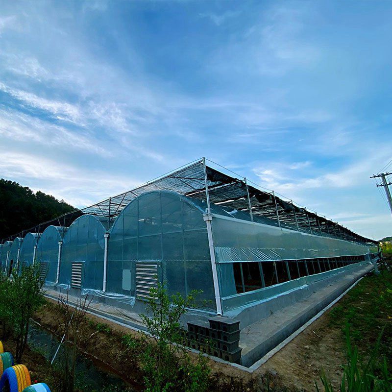 東遼溫室工程